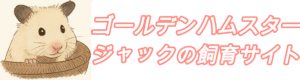 タイトル